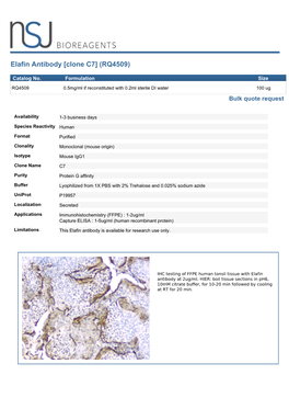 Elafin Antibody [Clone C7] (RQ4509)