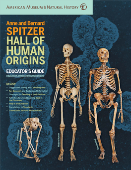 SPITZERPITZER HHALLALL OOFF HHUMANUMAN OORIGINSRIGINS EEDUCATOR’SDUCATOR’S GUIDEGUIDE Eeducation.Amnh.Org/Humanoriginsducation.Amnh.Org/Humanorigins