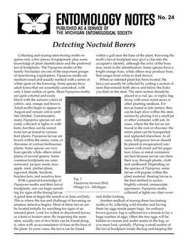 Detecting Noctuid Borers