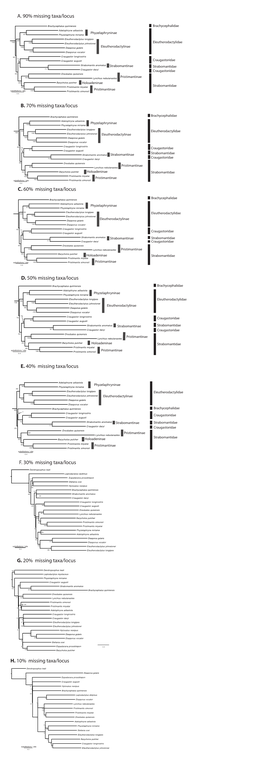 A. 90% Missing Taxa/Locus B. 70% Missing Taxa/Locus C. 60% Missing Taxa/Locus D. 50% Missing Taxa/Locus E. 40% Missing Taxa/Lo