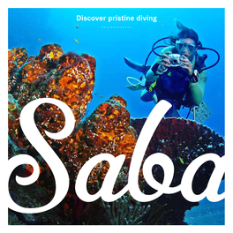 Discover Pristine Diving ‘The Unspoiled Queen’ Diving on Saba