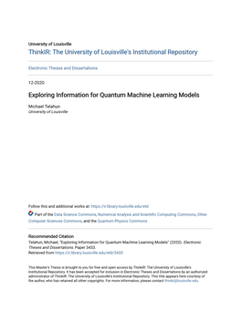 Exploring Information for Quantum Machine Learning Models