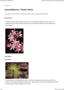 Amaryllidaceae | Plantz Africa About:Reader?Url=