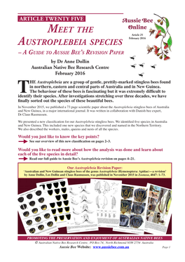 Meet the Austroplebeia Species