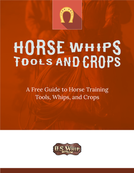 A Free Guide to Horse Training Tools, Whips, and Crops Introduction