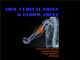 Bones of Upper Limb