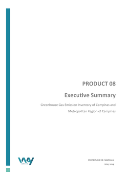 PRODUCT 08 Executive Summary