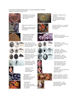 Field Guide for Hopkins Marine Station's Common Intertidal