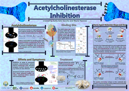 Acetylcholinesterase Inhibition Poster