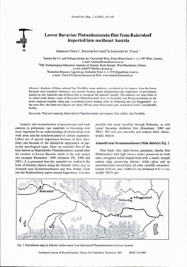 Lower Bavarian Plattenhornstein Flint from Baiersdorf Imported Into Northeast Austria