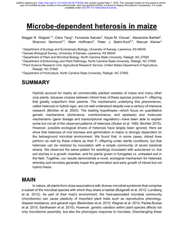 Microbe-Dependent Heterosis in Maize