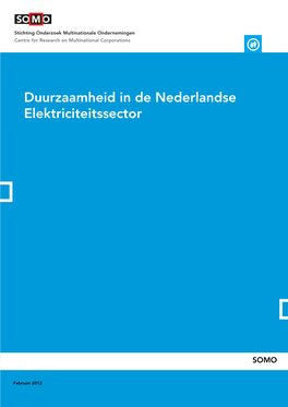 Duurzaamheid in De Nederlandse Elektriciteitssector