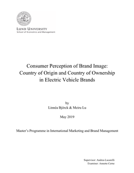 Consumer Perception of Brand Image: Country of Origin and Country of Ownership in Electric Vehicle Brands
