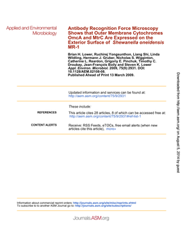 MR-1 Shewanella Oneidensis Exterior Surface of Omca and Mtrc Are