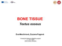 BONE TISSUE Textus Osseus