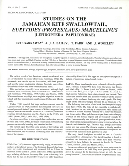 Studies on the Jamaican Kite Swallowtail, Eurytides (Protesilaus) Marcellinus (Lepidoptera: Papilionidae)