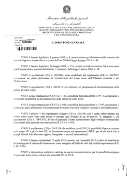 Decreto Ministeriale 2015