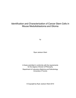 Identification and Characterization of Cancer Stem Cells in Mouse Medulloblastoma and Glioma