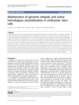 Maintenance of Genome Integrity and Active Homologous Recombination
