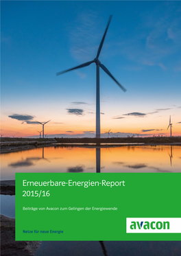 Erneuerbare-Energien-Report 2015/16