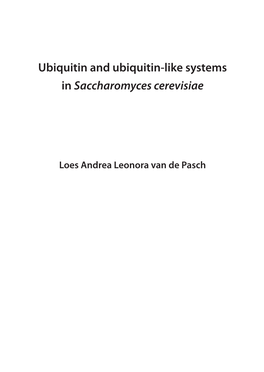 Ubiquitin and Ubiquitin-Like Systems in Saccharomyces Cerevisiae