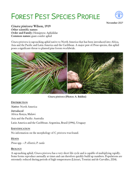 Forest Pest Species Profile