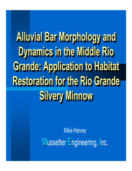 Alluvial Bar Morphology and Dynamics in the Middle Rio Grande