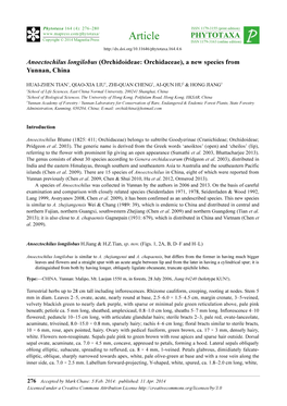 Anoectochilus Longilobus (Orchidoideae: Orchidaceae), a New Species from Yunnan, China