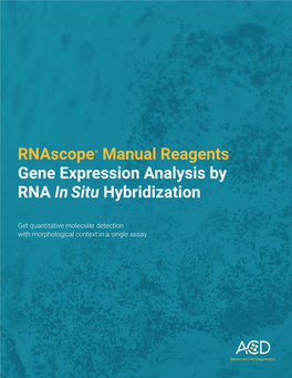 Rnascope® Manual Reagents Gene Expression Analysis by RNA in Situ Hybridization