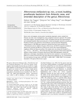 Alteromonas Stellipolaris Sp. Nov., a Novel, Budding, Prosthecate Bacterium from Antarctic Seas, and Emended Description of the Genus Alteromonas