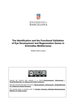 The Identification and the Functional Validation of Eye Development And