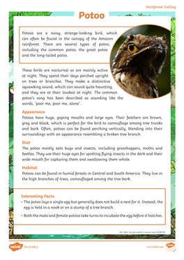 Appearance Diet Habitat Interesting Facts