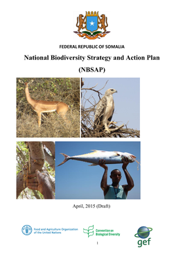 National Biodiversity Strategy and Action Plan