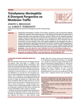 a Divergent Perspective on Membrane Traf �Cc JOSEPH S