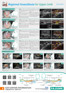 Guru Poster Anaesthesia EU