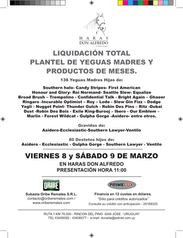 VIERNES 8 Y SÁBADO 9 DE MARZO EN HARAS DON ALFREDO PRESENTACIÓN HORA 11:00