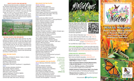 Wild for Monarchs Brochure