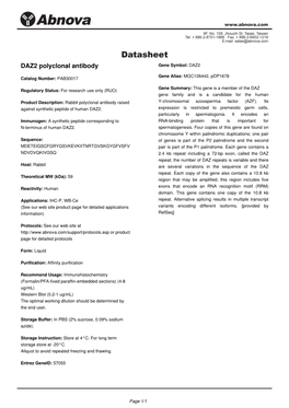 DAZ2 Polyclonal Antibody Gene Symbol: DAZ2