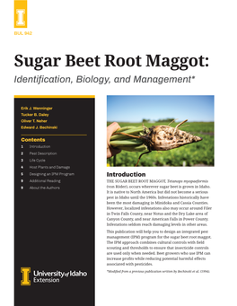 Sugar Beet Root Maggot: Identification, Biology, and Management*