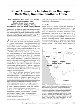 Novel Arenavirus Isolates from Namaqua Rock Mice, Namibia, Southern Africa