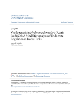 Vitellogenesis in <I>Hyalomma Dromedarii</I> (Acari: Ixodidae)