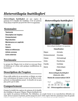 Heterotilapia Buttikoferi