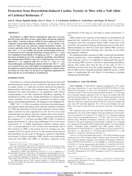 Protection from Doxorubicin-Induced Cardiac Toxicity in Mice with a Null Allele of Carbonyl Reductase 11