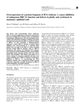 Overexpression of a Protein Fragment of RNA Helicase a Causes Inhibition