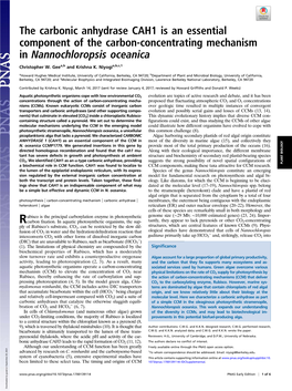 The Carbonic Anhydrase CAH1 Is an Essential Component of the Carbon-Concentrating Mechanism in Nannochloropsis Oceanica