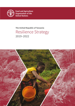 The United Republic of Tanzania Resilience Strategy 2019–2022