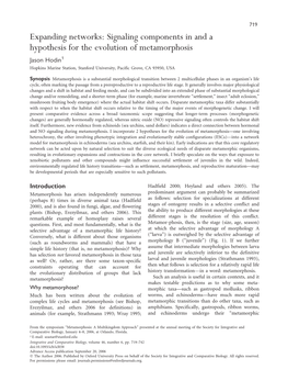 Expanding Networks: Signaling Components in and a Hypothesis For