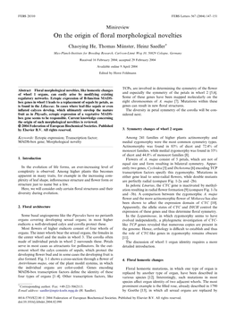 On the Origin of Floral Morphological Novelties