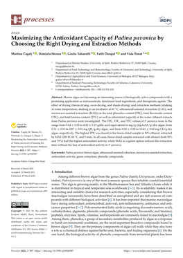 Maximizing the Antioxidant Capacity of Padina Pavonica by Choosing the Right Drying and Extraction Methods