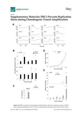 PRC1 Prevents Replication Stress During Chondrogenic Transit Amplification